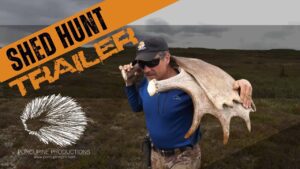 Shed Hunt Trailer
