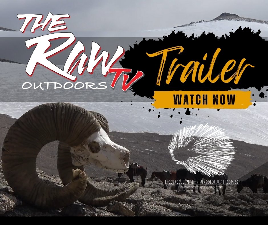 The Real Raw Experience (Divi Vid Thumbnail)
